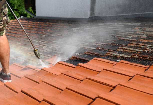 Best Pressure Washing Contractors  in Walnut Grove, CA