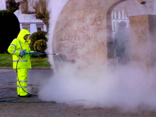Best Exterior Home Cleaning  in Walnut Grove, CA